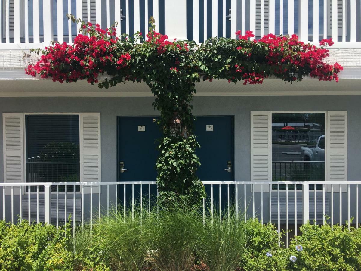Southern Oaks Inn - Saint Augustine Exterior photo